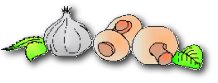 knobl.jpg (5290 Byte)